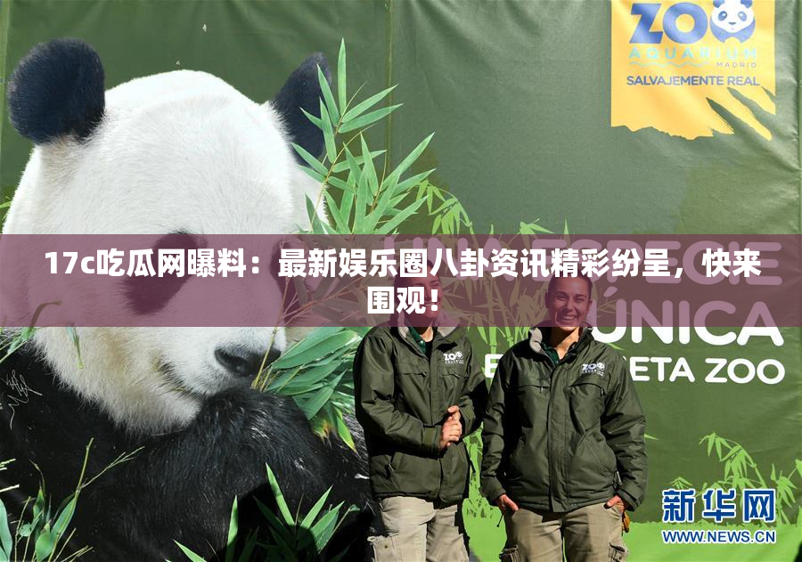 17c吃瓜网曝料：最新娱乐圈八卦资讯精彩纷呈，快来围观！