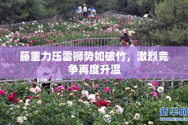 藤重力压雷狮势如破竹，激烈竞争再度升温