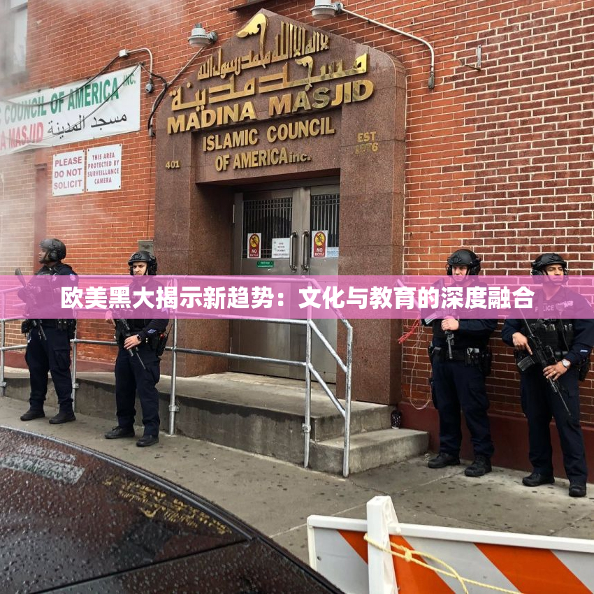 欧美黑大揭示新趋势：文化与教育的深度融合