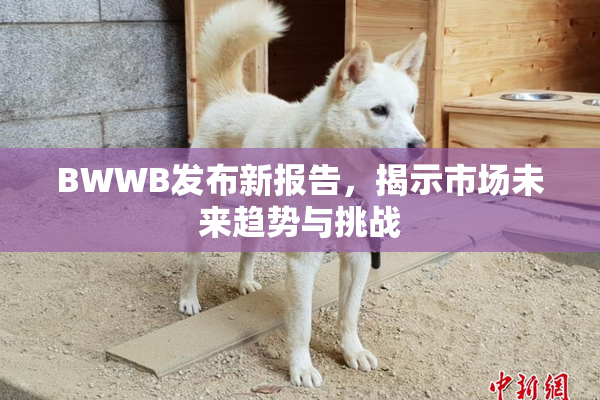 BWWB发布新报告，揭示市场未来趋势与挑战