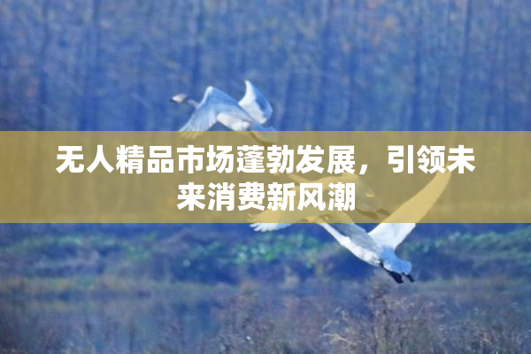 无人精品市场蓬勃发展，引领未来消费新风潮