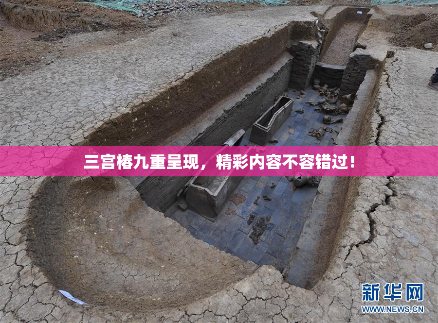 三宫椿九重呈现，精彩内容不容错过！