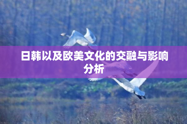 日韩以及欧美文化的交融与影响分析