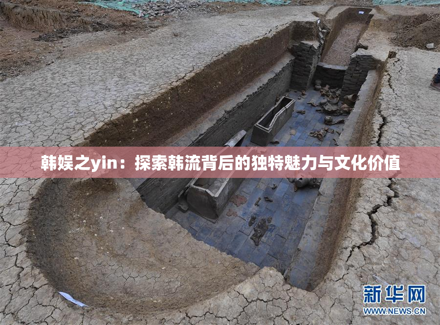 韩娱之yin：探索韩流背后的独特魅力与文化价值