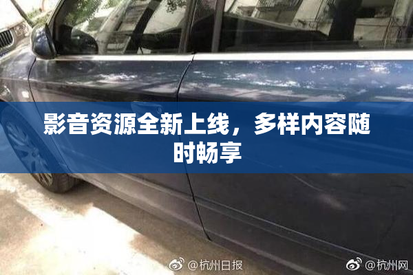 影音资源全新上线，多样内容随时畅享