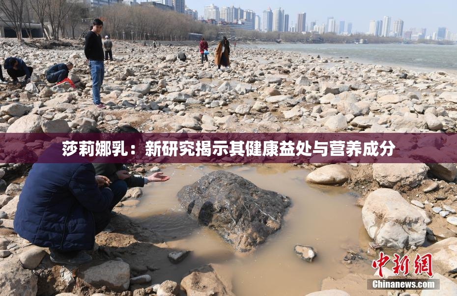 莎莉娜乳：新研究揭示其健康益处与营养成分