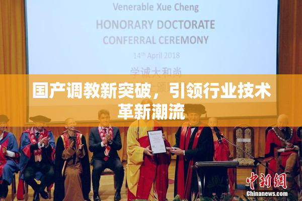 国产调教新突破，引领行业技术革新潮流