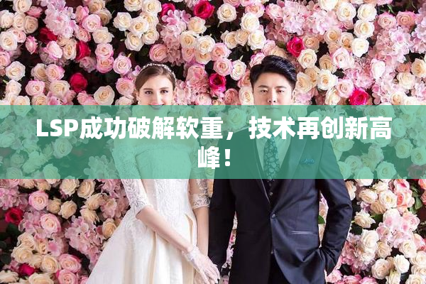 LSP成功破解软重，技术再创新高峰！