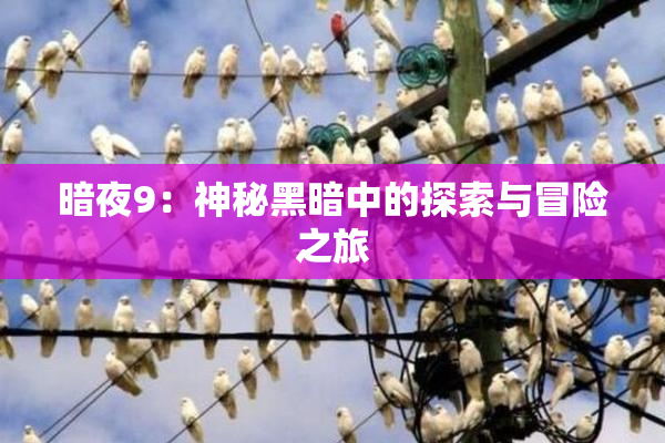 暗夜9：神秘黑暗中的探索与冒险之旅