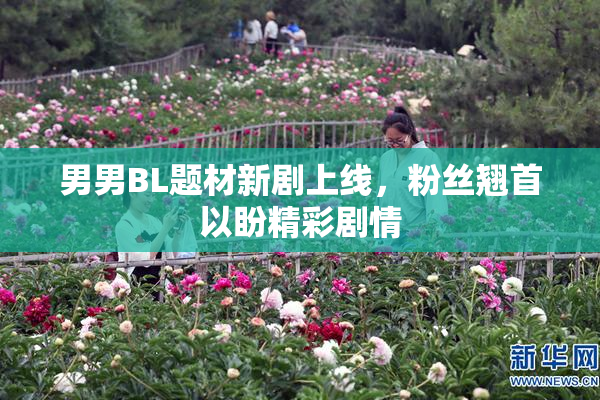 男男BL题材新剧上线，粉丝翘首以盼精彩剧情