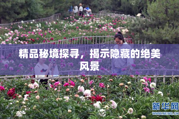 精品秘境探寻，揭示隐藏的绝美风景