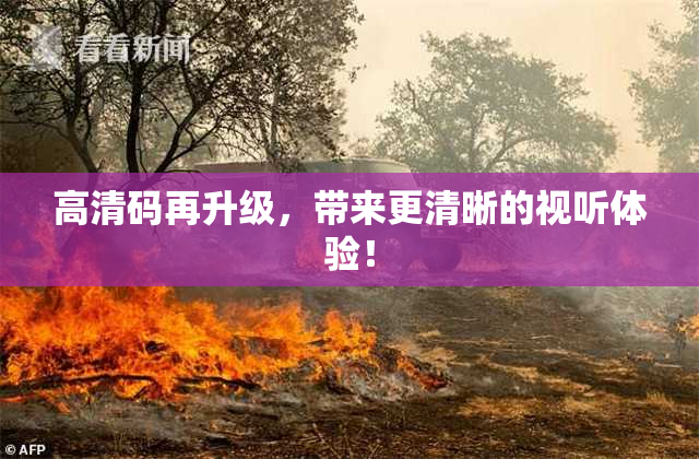 高清码再升级，带来更清晰的视听体验！