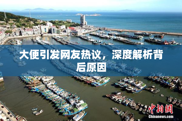 大便引发网友热议，深度解析背后原因
