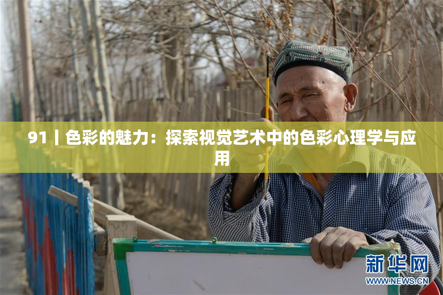 91丨色彩的魅力：探索视觉艺术中的色彩心理学与应用
