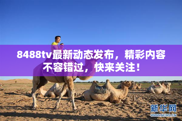8488tv最新动态发布，精彩内容不容错过，快来关注！