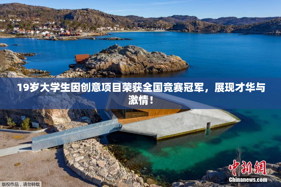 19岁大学生因创意项目荣获全国竞赛冠军，展现才华与激情！