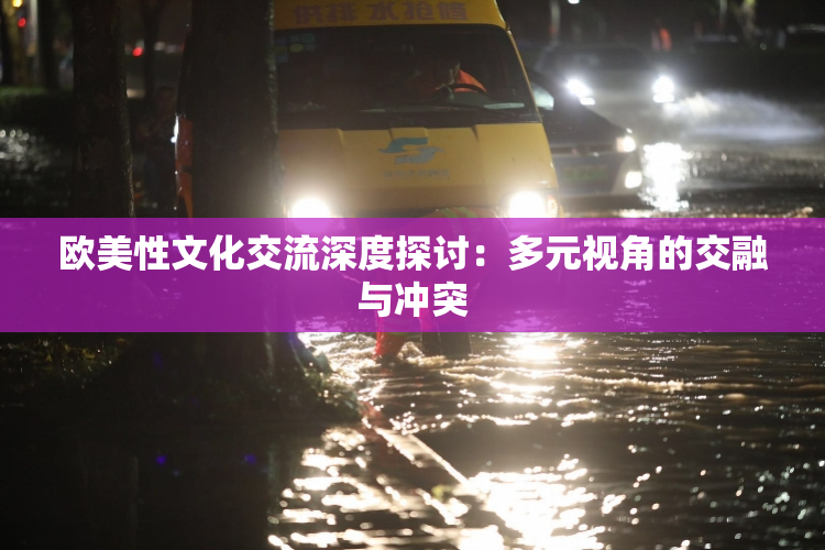 欧美性文化交流深度探讨：多元视角的交融与冲突