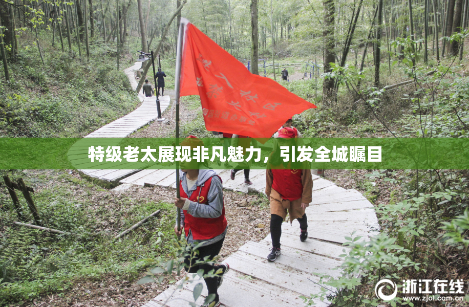 特级老太展现非凡魅力，引发全城瞩目