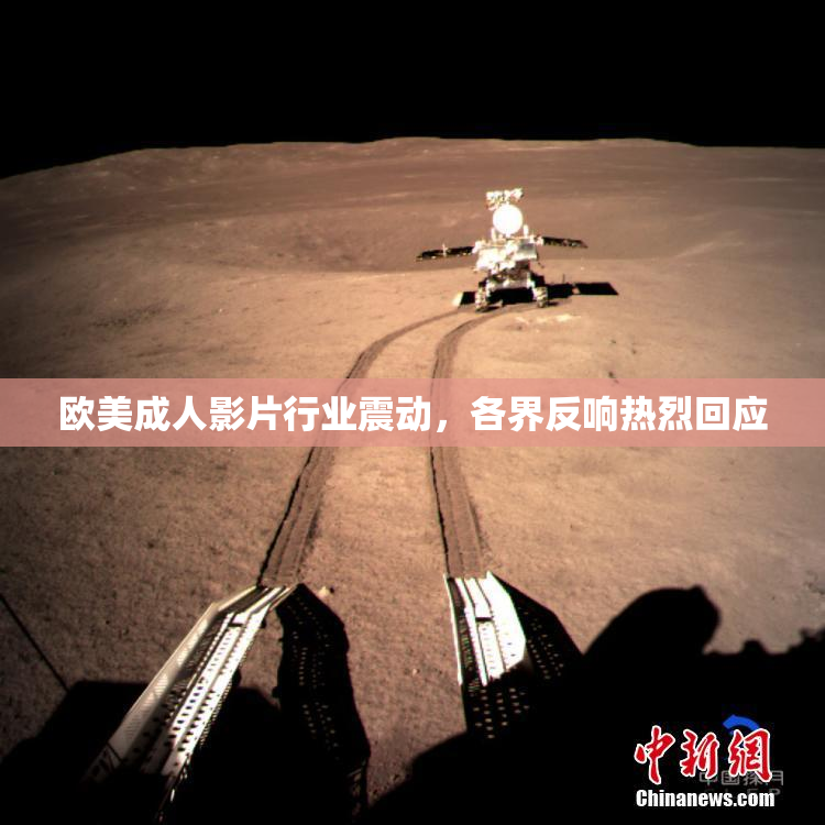 欧美成人影片行业震动，各界反响热烈回应