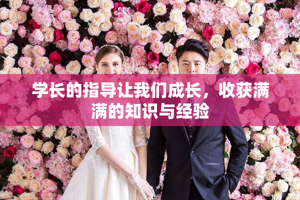 学长的指导让我们成长，收获满满的知识与经验