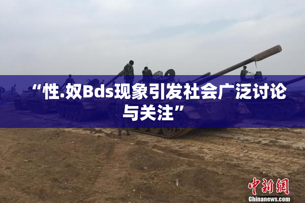 “性.奴Bds现象引发社会广泛讨论与关注”