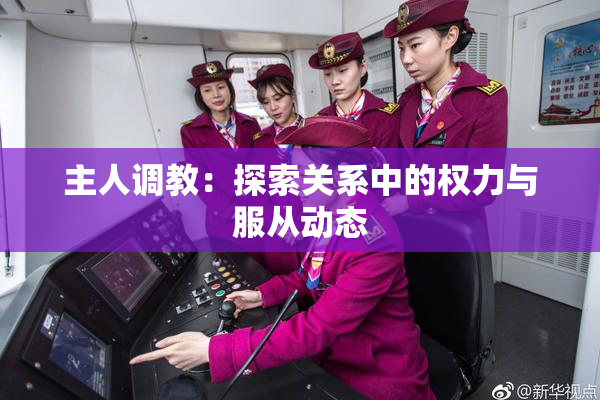 主人调教：探索关系中的权力与服从动态
