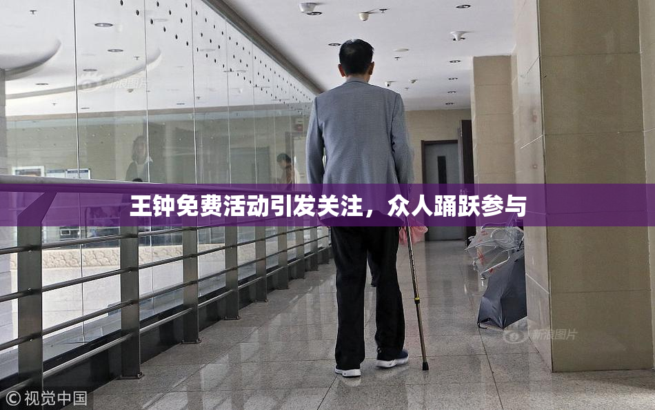 王钟免费活动引发关注，众人踊跃参与