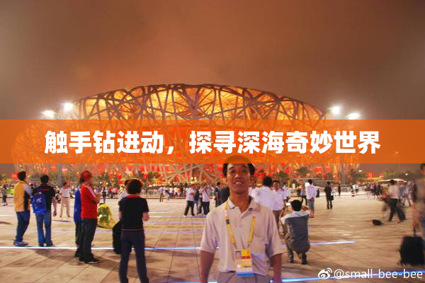 触手钻进动，探寻深海奇妙世界