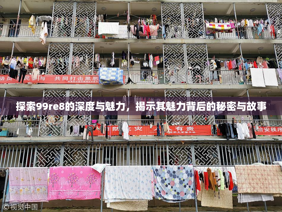 探索99re8的深度与魅力，揭示其魅力背后的秘密与故事
