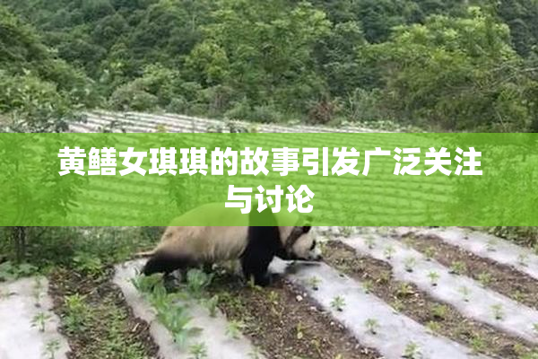 黄鳝女琪琪的故事引发广泛关注与讨论