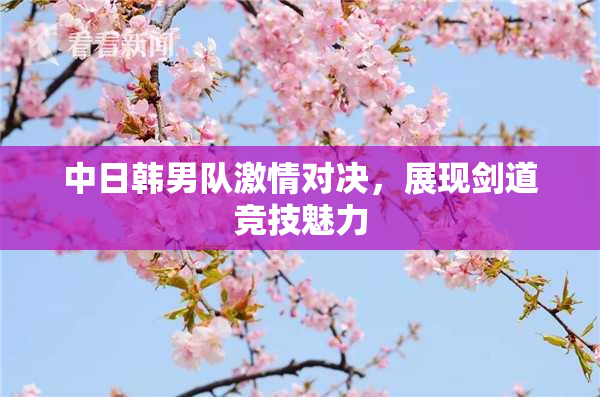 中日韩男队激情对决，展现剑道竞技魅力