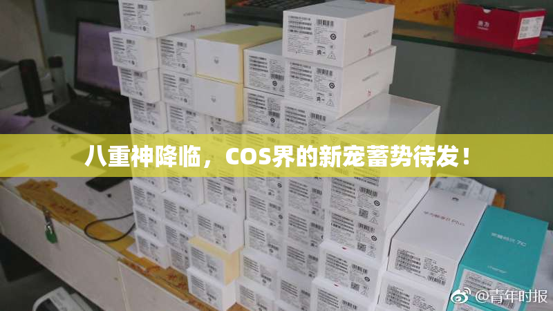 八重神降临，COS界的新宠蓄势待发！