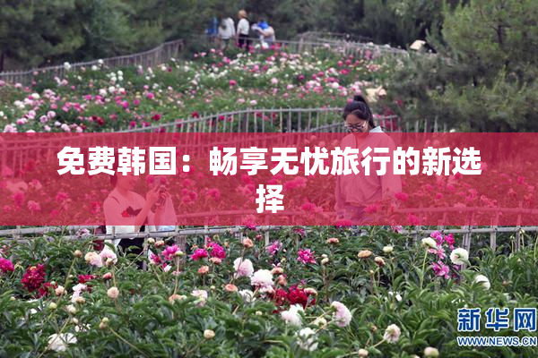 免费韩国：畅享无忧旅行的新选择
