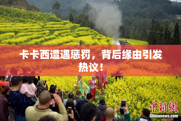 卡卡西遭遇惩罚，背后缘由引发热议！