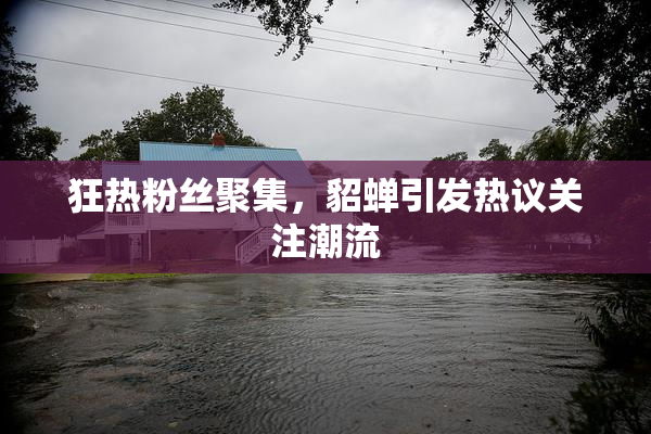 狂热粉丝聚集，貂蝉引发热议关注潮流