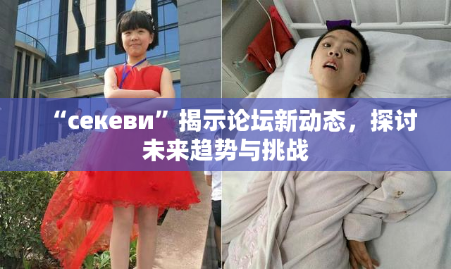 “ceкеви”揭示论坛新动态，探讨未来趋势与挑战