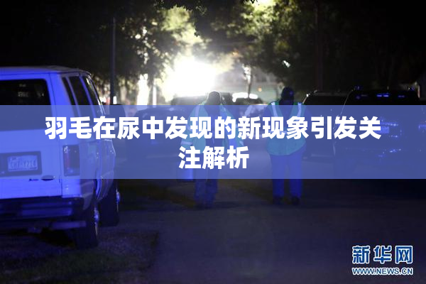 羽毛在尿中发现的新现象引发关注解析