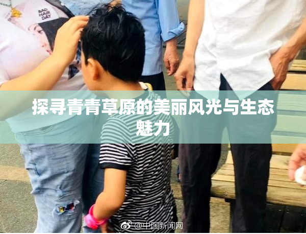 探寻青青草原的美丽风光与生态魅力