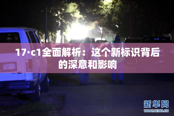 17·c1全面解析：这个新标识背后的深意和影响