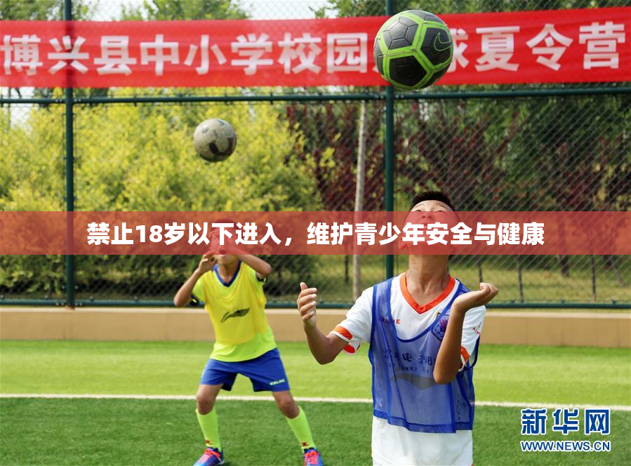 禁止18岁以下进入，维护青少年安全与健康