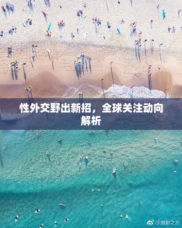 性外交野出新招，全球关注动向解析