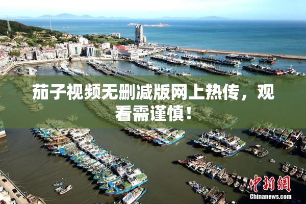 茄子视频无删减版网上热传，观看需谨慎！