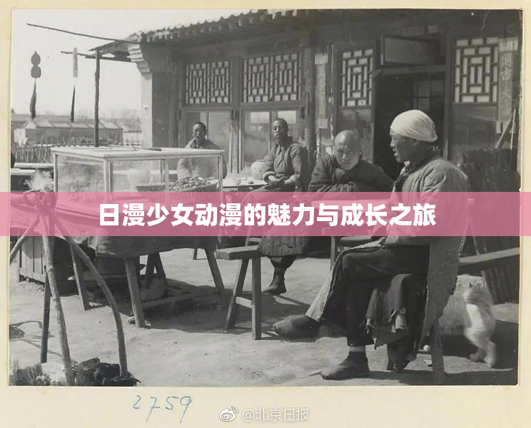 日漫少女动漫的魅力与成长之旅
