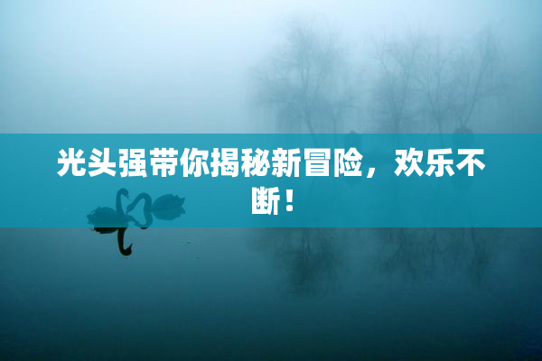 光头强带你揭秘新冒险，欢乐不断！