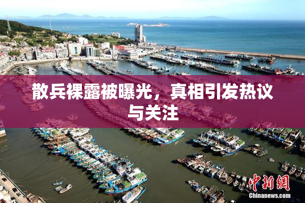 散兵裸露被曝光，真相引发热议与关注