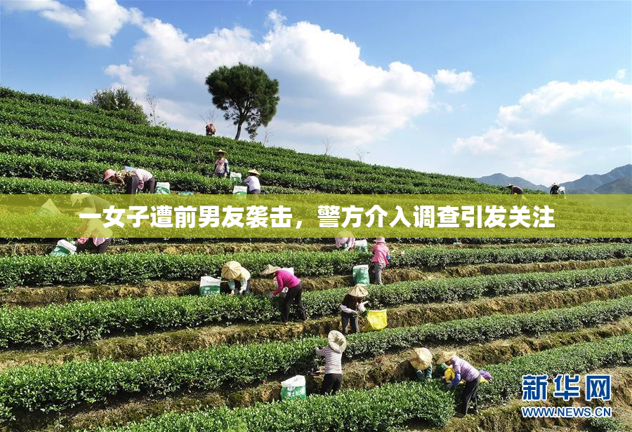 一女子遭前男友袭击，警方介入调查引发关注