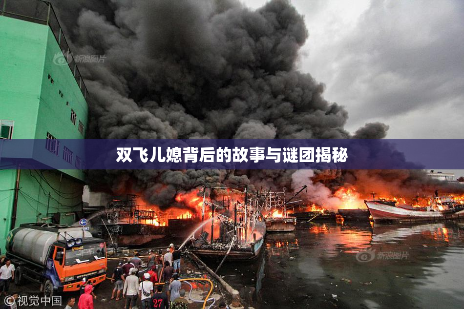 双飞儿媳背后的故事与谜团揭秘