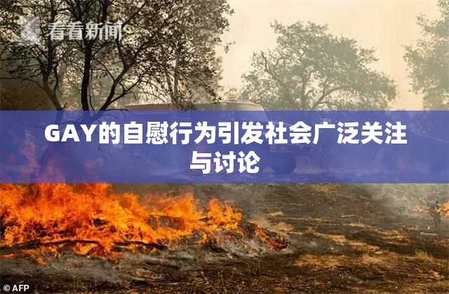 GAY的自慰行为引发社会广泛关注与讨论