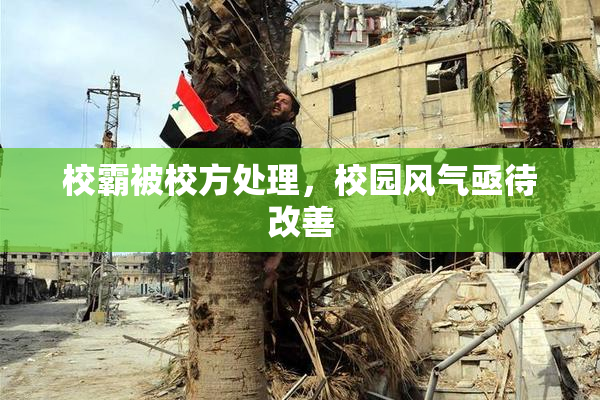 校霸被校方处理，校园风气亟待改善