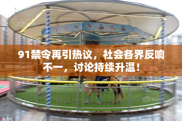 91禁令再引热议，社会各界反响不一，讨论持续升温！
